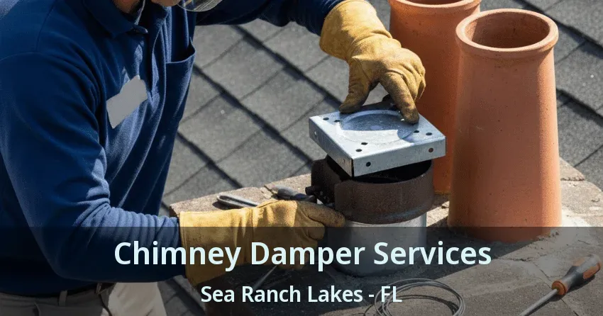 Chimney Damper Services Sea Ranch Lakes - FL