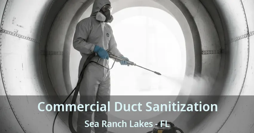 Commercial Duct Sanitization Sea Ranch Lakes - FL Commercial Duct Sanitization Sea Ranch Lakes - FL