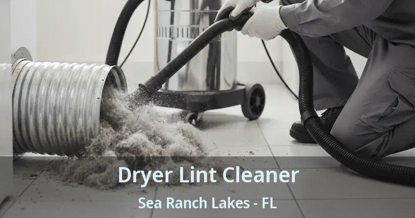 Dryer Lint Cleaner Sea Ranch Lakes - FL