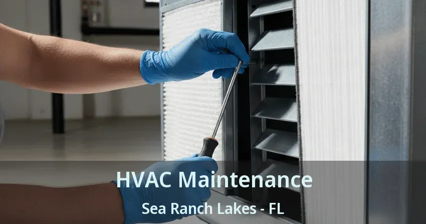 HVAC Maintenance Sea Ranch Lakes - FL