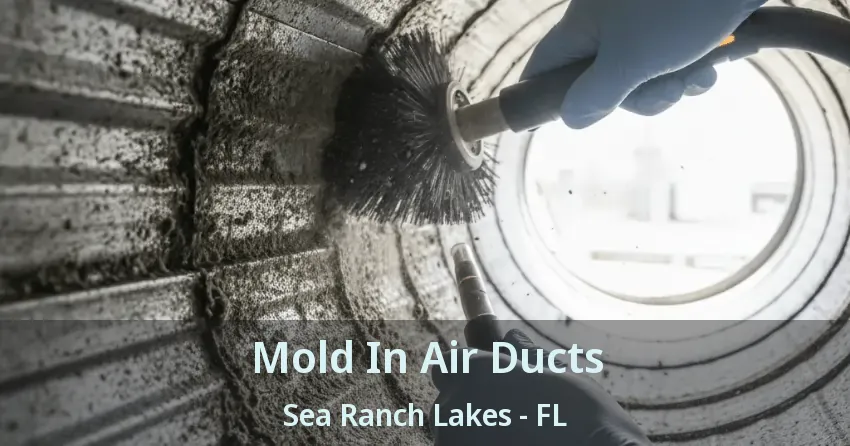 Mold In Air Ducts Sea Ranch Lakes - FL Mold In Air Ducts Sea Ranch Lakes - FL